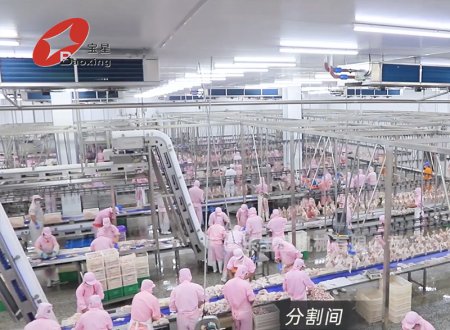 山东弘顺食物有限公司肉制品一体化深加工项目